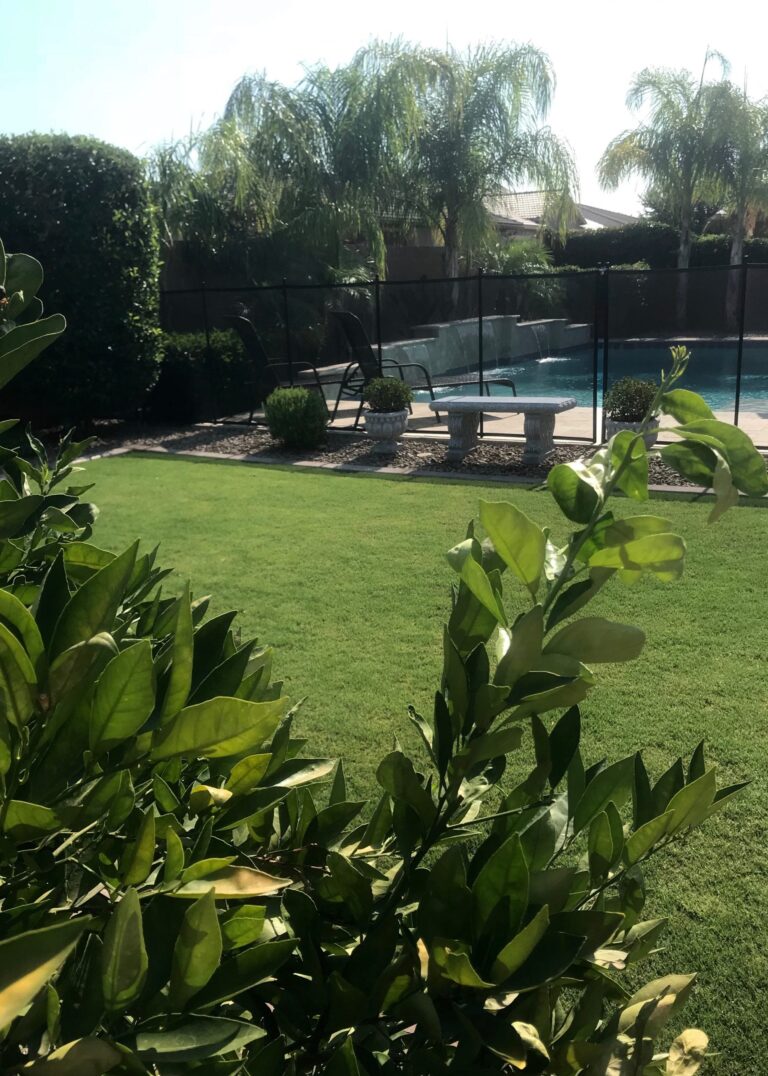 Creating a Beautiful Backyard