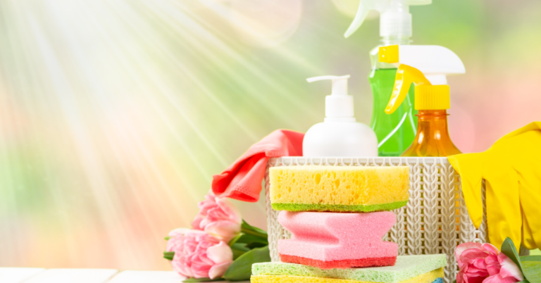 Simple Steps to a Clean Home