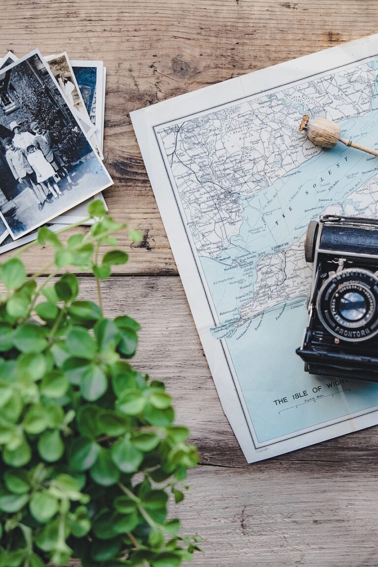 camera, vintage, map, plant, flat lay, retro, photographs, old, old camera, vintage camera, nature, photography